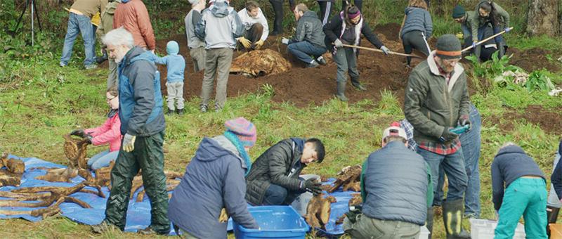 Whale retrieval by a group of students and community members