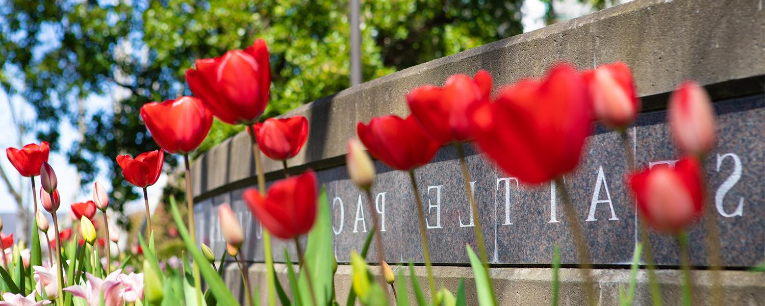 西雅图 Pacific Sign behind flowers