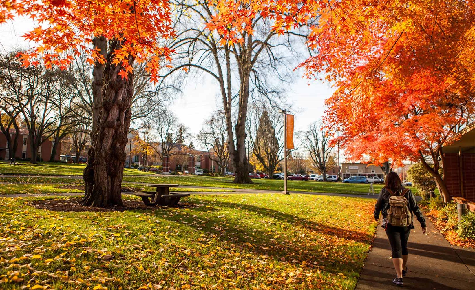 Visit the SPU Campus